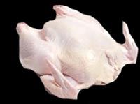 raw chicken