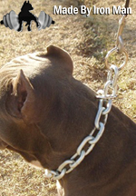 Choker Chain Collar & Leash