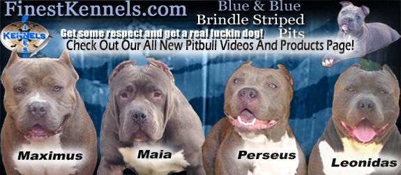 finest kennels california